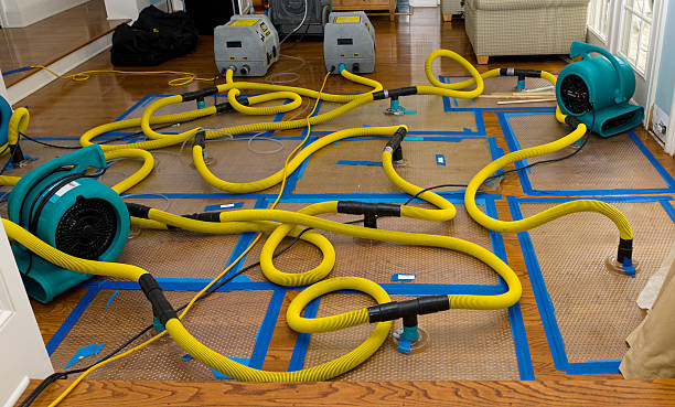 Professional Basement Flood Cleanup technician working in Flandreau, SD
